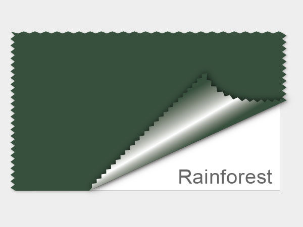 Color Forecast